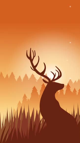 Find Your White Noise Zen in Wildfulness 2